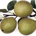 hruška Koporečka plody