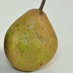 hruška šedá zimná plod