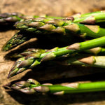 Špargľa lekárska detail