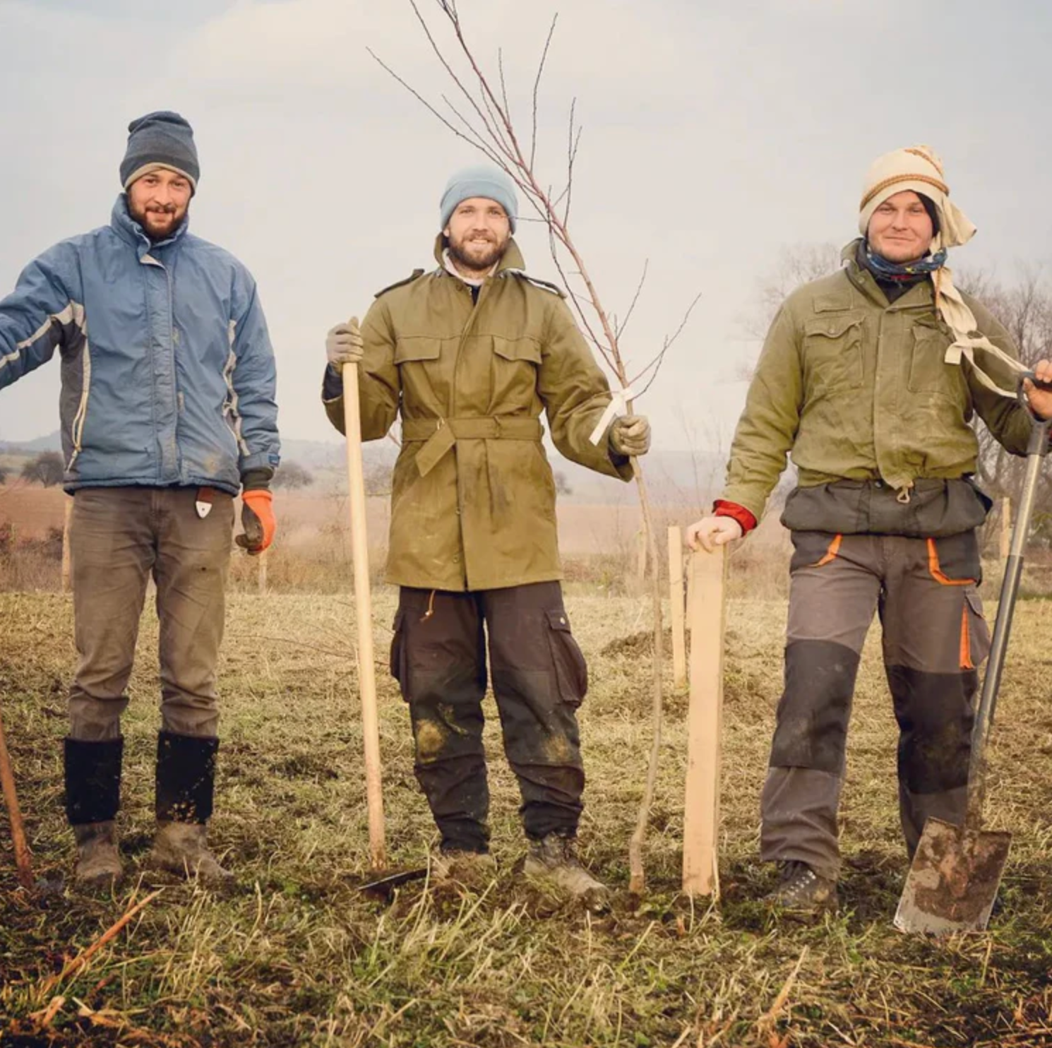Pripravení na výsadbu
