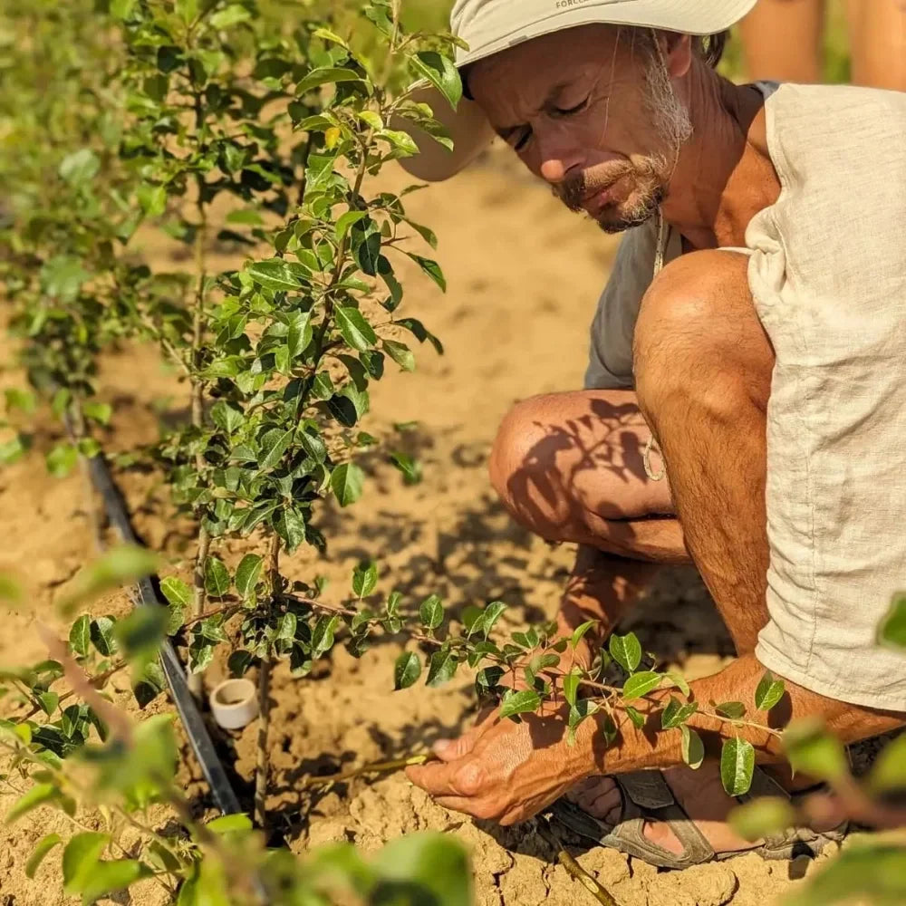 Letná očkovacia sezóna