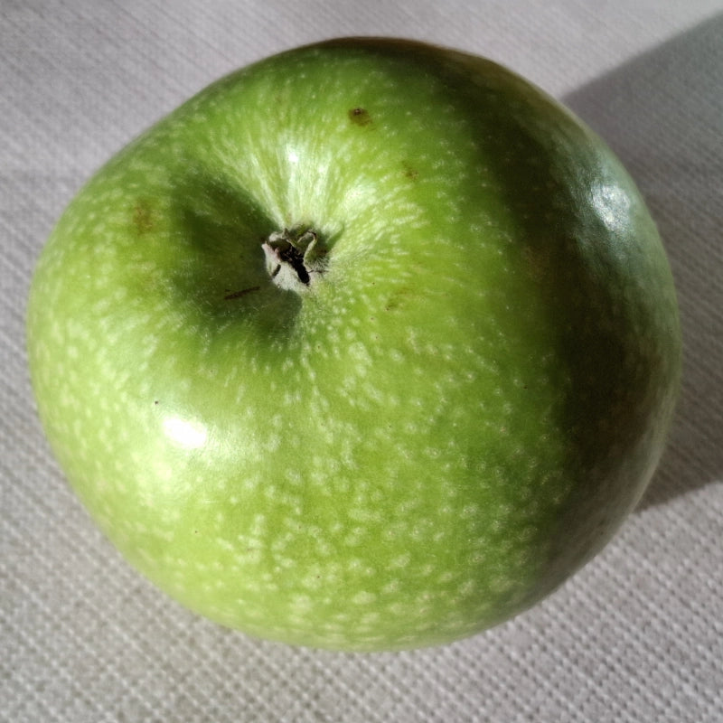 Granny Smith, A. Miklošová
